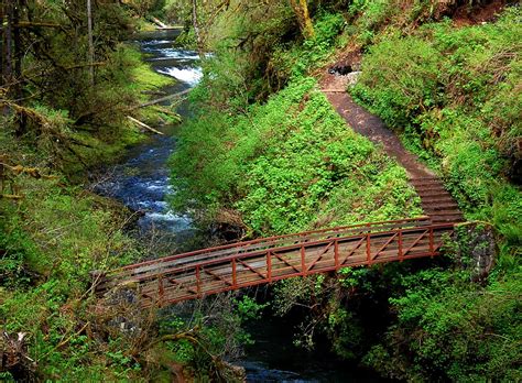 Sprawling over more than 26,000 acres, the park is full of hiking opportunities. Silver Falls Trail Challenge - October 18, 2015