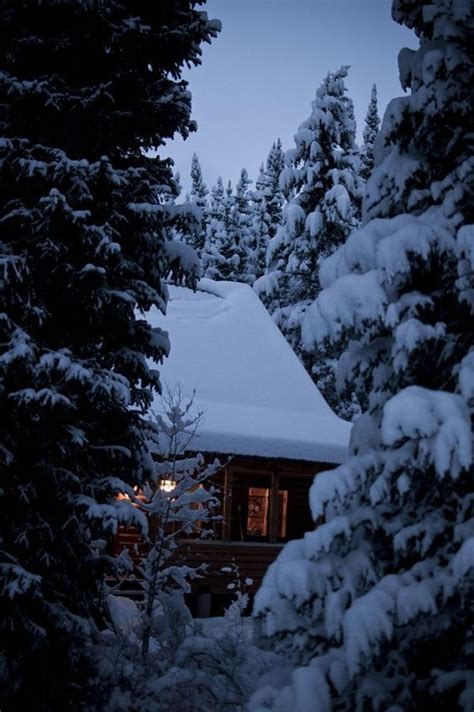 Beautiful Winter Nature Winter Cabin Winter Scenery