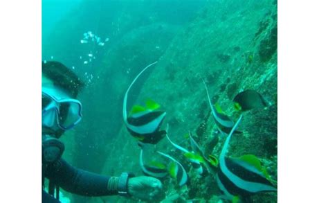 Life Below The Surface Best Places To Explore Marine Life In Sri Lanka