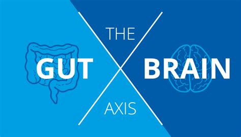 The Gut Brain Axis How Your Gut Dictates Your Mental Health