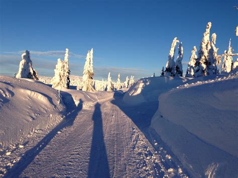 Postcards From Winter Wonderland Sjusjøen Norway Thyra Dane