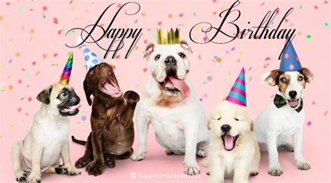 40 Super Cute Happy Birthday Wishes For Dog With Images