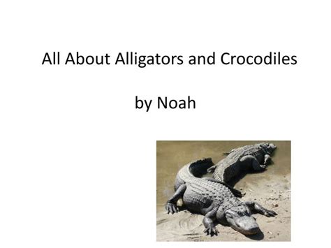 Ppt All About Alligators And Crocodiles By Noah Powerpoint