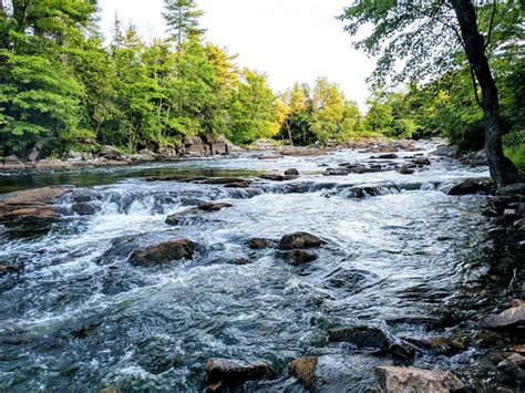 500 Flowing River Pictures Hd Download Free Images On Unsplash