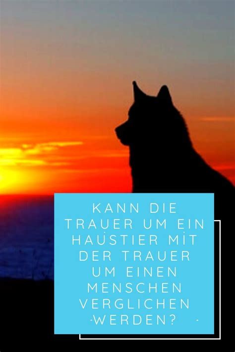 Die haustier notfallkarte zum downloaden. Die Trauer um ein Haustier: Kann sie mit der Trauer um eine Person verglichen werden? in 2020 ...