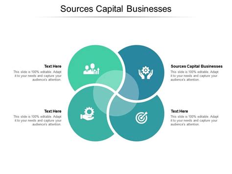 Sources Capital Businesses Ppt Powerpoint Presentation Infographics