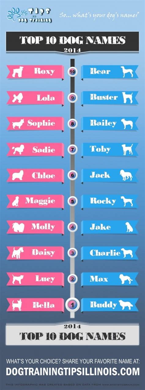 Top 10 Female And Male Dog Names Of 2014 Infographic Daily