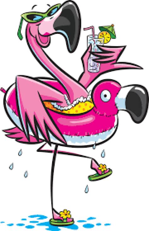 Pool Party Flamingo Clipart Hromblaster