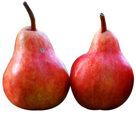 Two Pear Fruits Png Image Purepng Free Transparent Cc0 Png Image
