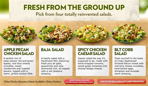 Wendys Launches New Salad Range Article Fruitnet