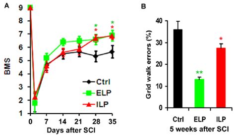Systemic Treatments With Elp And Ilp Improve Locomotor Recovery In Sci
