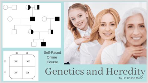 Genetics And Heredity Kristin Moon Science