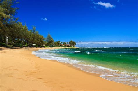 Perfect Tropical Beach Kauai Hawaii Stock Image Image Of Nature Beautiful 20486181