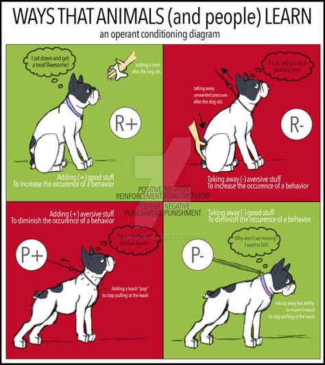 Operant Conditioning Infographic By Aprimatesblog On Deviantart