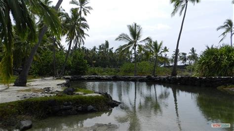 Ancient Hawaiian Fish Ponds Aloha Vacation Cottages