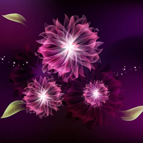 3dabstract Abstract Aster Flowers Ipad Iphone Hd