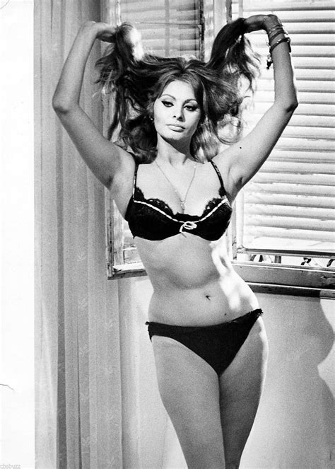 Sophia Loren Photo Sophia Loren Images Sophia Loren