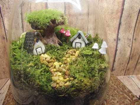 Large Miniature Landscape Live Moss Terrarium With Tiny Raku