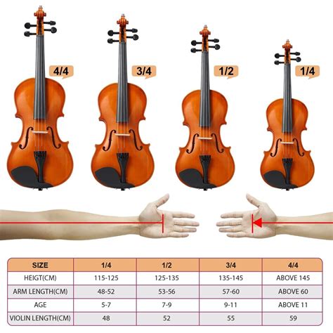 Melodic 3/4 Full-Size Acoustic Violin Kit 4-String Natural Varnish