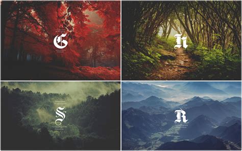 Gryffindor Harry Potter Wallpaper Collage
