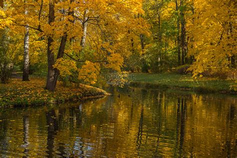 The Most Beautiful Autumn Scenery In Russia Picture And Hd Photos