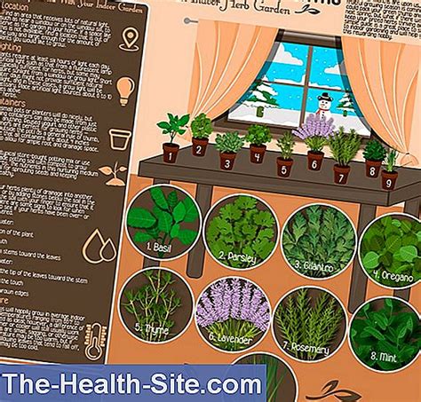Gather Herbs Tips For Beginners 💊 Scientific Practical Medical