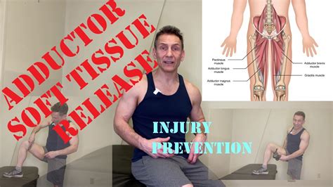 Adductor Soft Tissue Release Therapy Prevent Groin Strains And Adductor Injuries YouTube