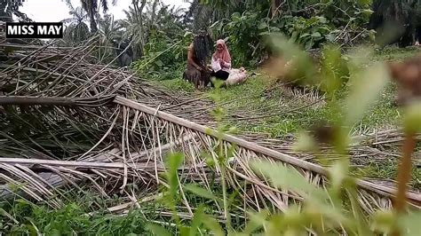 Bocil Smp Main Main Di Hutan Telegram Bokep Viral