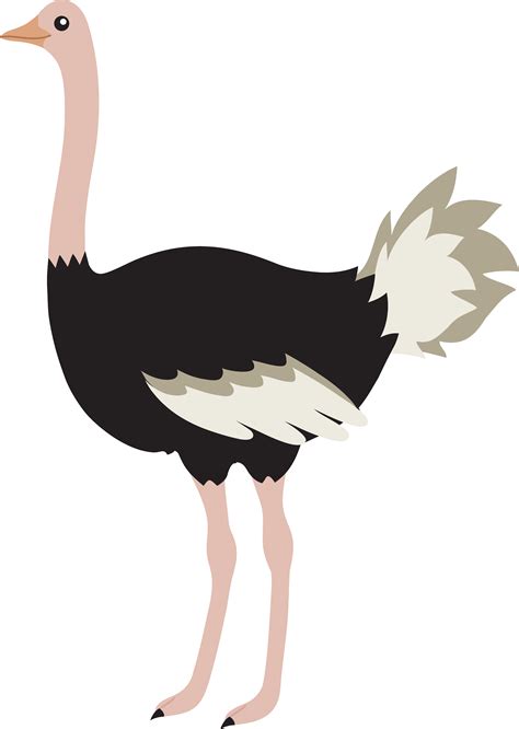 Cute Cartoon Ostrich Images And Pictures Becuo Animal