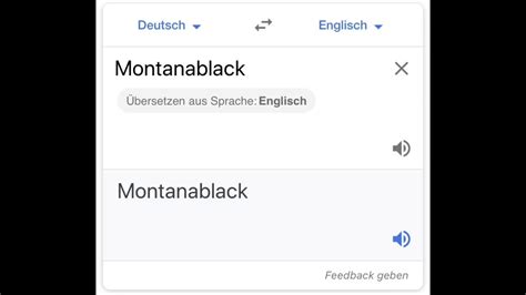 Google übersetzer fails , pure unterhaltung'un videosunu paylaştı. Montanablack: Google Übersetzer Englisch Meme - YouTube