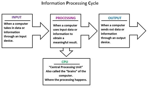 Information Processing Cycle Diagram Quizlet Information Processing