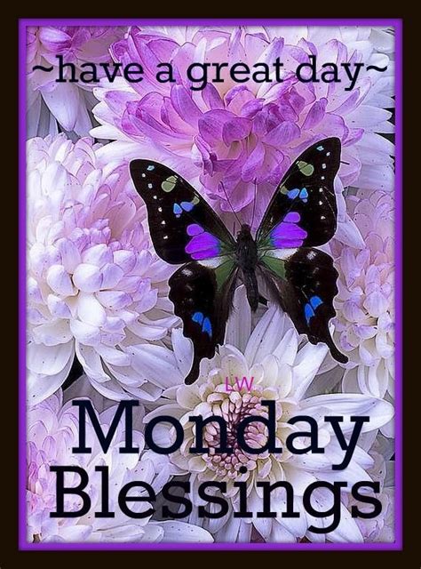 Black Butterfly Monday Blessings Pictures Photos And Images For