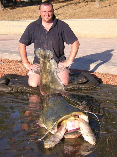 The Cult Of The Wels Catching Giant 200 Plus Pound Catfish In