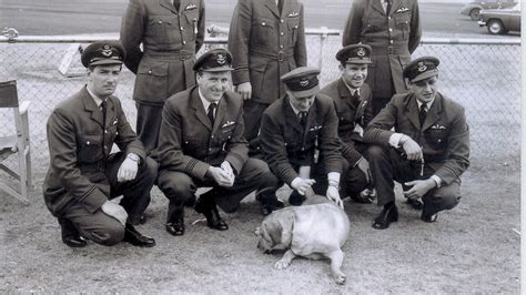 Red Arrows Pilot Pays Tribute To Labrador Mascot Itv News West Country