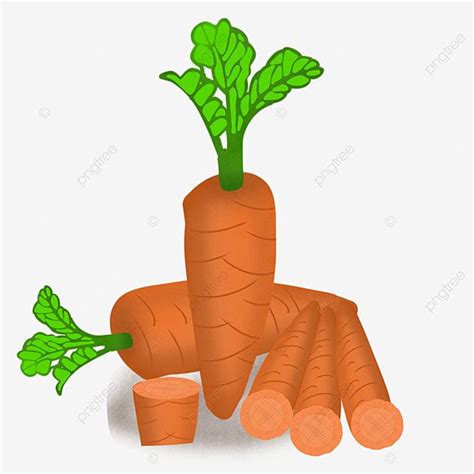 Wortel Wortel Png Carrot Carrot Vector Png Transparent Clipart Image
