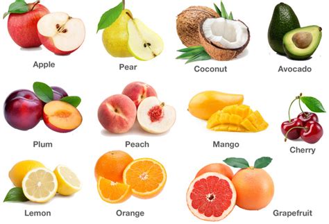 Fruits Pictures Pomes Drupes And Citruses Free Printables For Kids