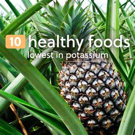 10 Healthy Foods Low In Potassium Healthwholeness