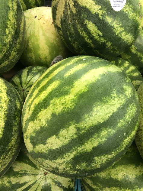 Watermelon Seedless Large