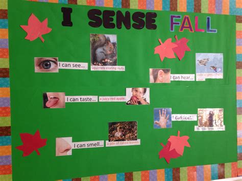 Five Senses Seasonal Science Board Change Each Of The Pictures As The