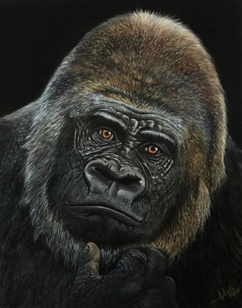 Pastel Painting Gorilla By Isabel Mr On Deviantart