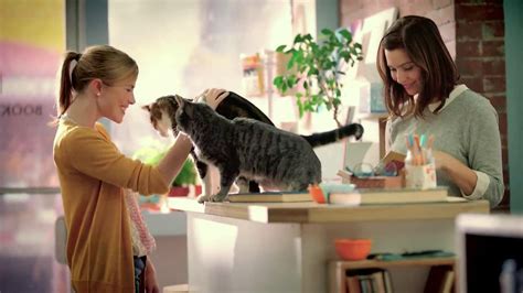Purina Cat Chow Healthy Weight Tv Spot Bookstore Ispottv
