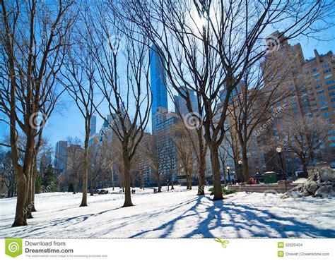 Central Park New York In The Snow Stock Photo Image Of