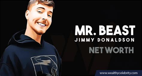 What Is Mr Beast Net Worth The Untold Facts About His Career And Life