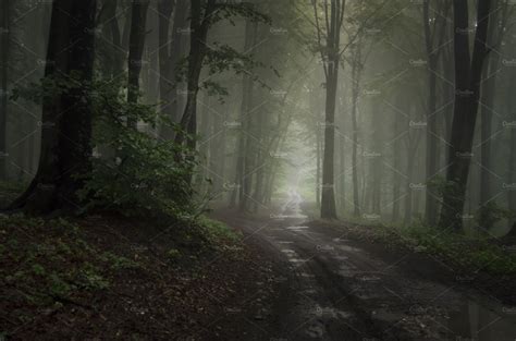 Forest Road With Fog Nature Stock Photos ~ Creative Market