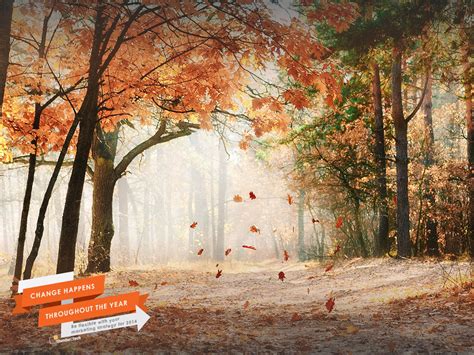 Our November Wallpaper Brings A Change Of Autumn Scenery