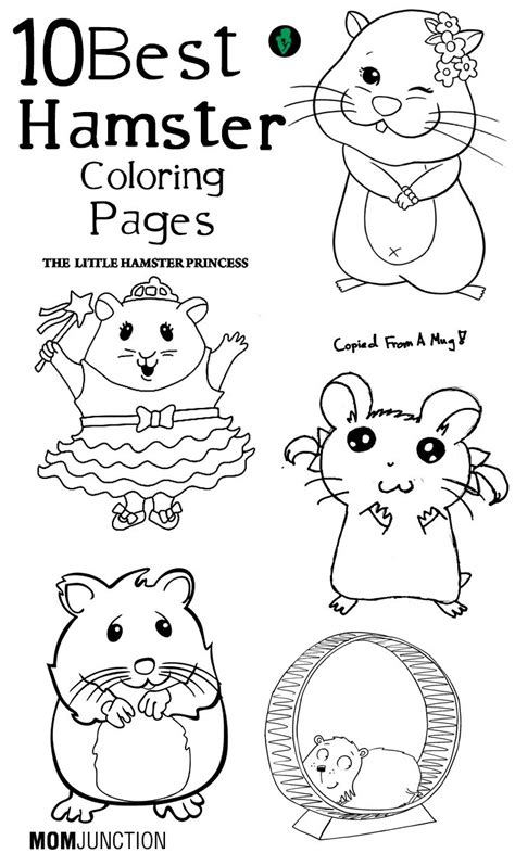 Top 25 Free Printable Hamster Coloring Pages Online Coloring Pages