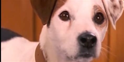 6 Times The ‘wishbone Episode Was Better Than The Book Inverse