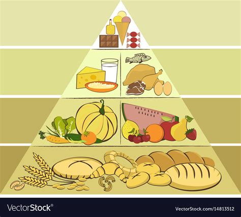 Healthy Food Pyramid Royalty Free Vector Image