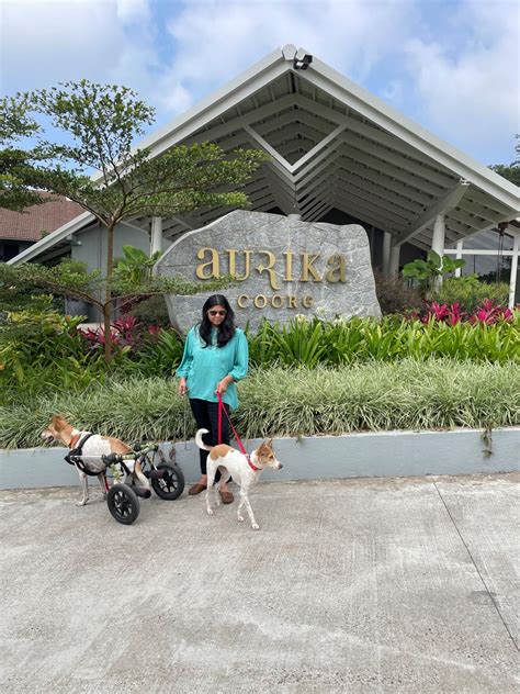 Aurika Coorg Pet Friendly Resort In Coorg
