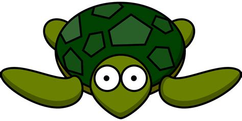 Cartoon Turtle Clipart Free Download Transparent Png
